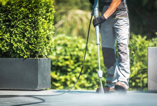 Solar Panel Cleaning in Mayville, WI